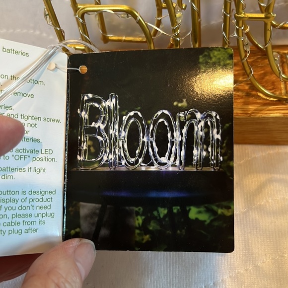 Garden 🪴 Party LED Wire Frame Light With BLOOM NWT - Picture 11 of 12